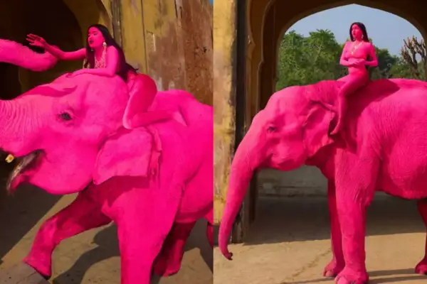 Polémica en India: una sesión de fotos con una elefante pintada desató críticas tras la muerte del animal