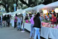 Drama por la tormenta: en Villa Angelina lloran la muerte de un niño y exigen controles