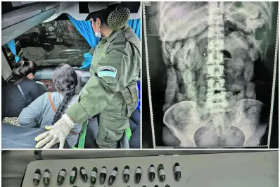 Secuestraron seis kilos de droga en tres días