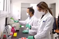 Científicos del Conicet lograron avances en la investigación de la regeneración de tejidos