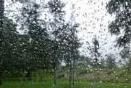 Pronóstico del tiempo en el NOA: cómo estará el clima en cada provincia este viernes 10 de abril