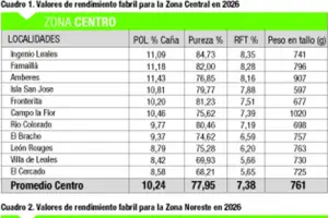 Los cañaverales muestran una maduración inusualmente baja