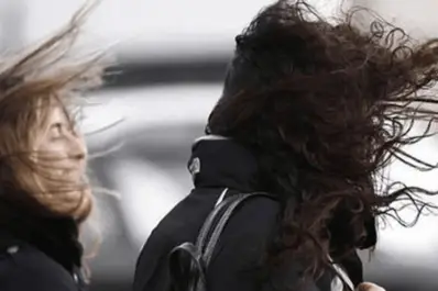 Hay alerta amarilla por vientos fuertes: ¿cuáles son las provincias más complicadas?