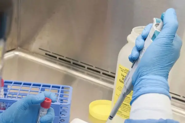 Confirman la primera muerte en el país por chikungunya y advierten sobre un brote prolongado