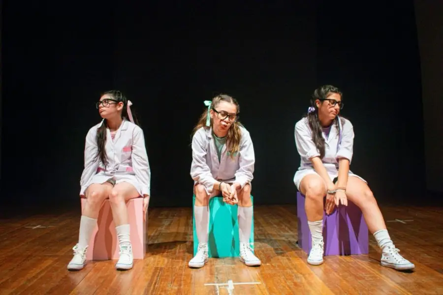 CONTRARELOJ. “Bye bye profe” se repone en la sala Tríbulo del Alberdi.