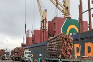 Forestales: en 2025 el país exportó por U$S 376 millones