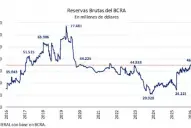 El Banco Central hizo la mayor compra de dólares de los últimos dos años