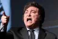 Periodistas, go home: Milei vs. los molinos de viento, con el enemigo detrás de sus propios cortinados