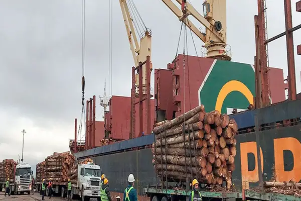 Forestales: en 2025 el país exportó por U$S 376 millones