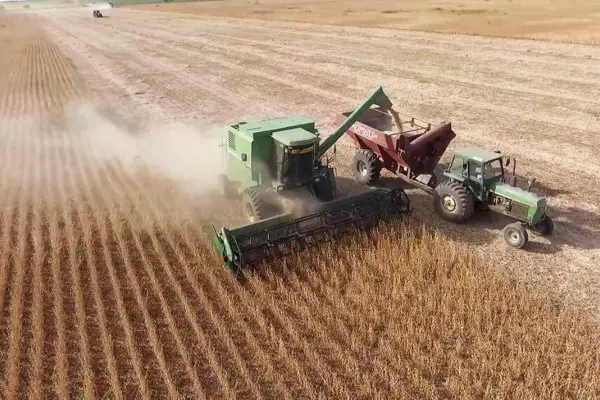 Consejos para evitar pérdidas en la trilla