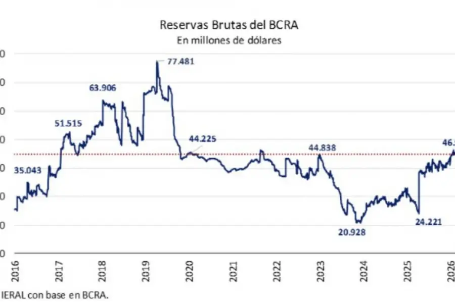 El Banco Central hizo la mayor compra de dólares de los últimos dos años