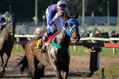 Turf: Holly volvió a brillar y Golden Warrior continúa de racha