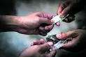 Lucha contra las drogas en Tucumán: piden cambios en la ley de narcomenudeo