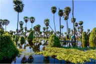 El laberinto natural que pocos conocen y fue declarado una de las siete maravillas de la Argentina