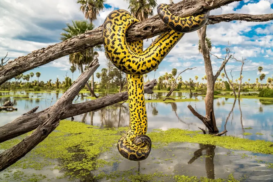 El laberinto natural que pocos conocen y fue declarado una de las siete maravillas de la Argentina