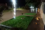 Anegamientos, tapas desplazadas y un árbol caído tras la tormenta en Yerba Buena