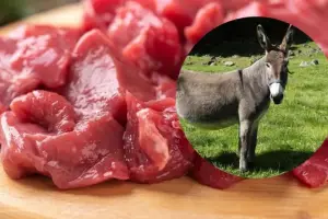 En una provincia ya se vende carne de burro: “una alternativa más”