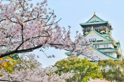 Becas de arte e idiomas en Japón para argentinos: cómo postularse y viajar a Asia este año