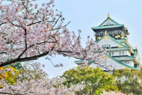 Becas de arte e idiomas en Japón para argentinos: cómo postularse y viajar a Asia este año