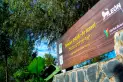 Fundación León celebró sus 23 años Sembrando futuro en un bosque en el que antes había un basural