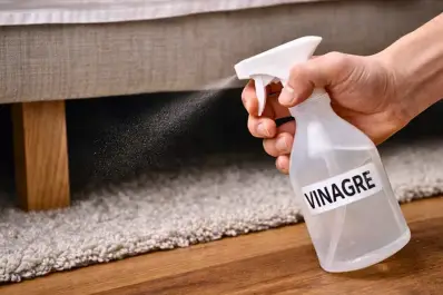 Todos los usos del vinagre para limpiar la casa de forma natural y sin tóxicos