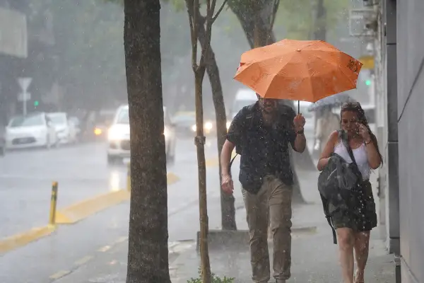 Alerta amarilla por tormentas abundantes y vientos peligrosos: qué zonas están afectadas