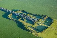 Un amor que echó raíces en forma de guitarra