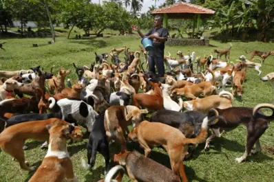 Los monumentos de la capital tucumana se iluminarán con luces naranja por el Día del Animal