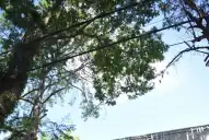 Yerba Buena se transforma: más comercios, más oficinas, nuevos desafíos