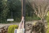 Guerra en Medio Oriente: Trump acusó a Irán de violar el alto el fuego