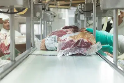 Debate por el consumo de carne de burro: ¿se puede comercializar en Tucumán?