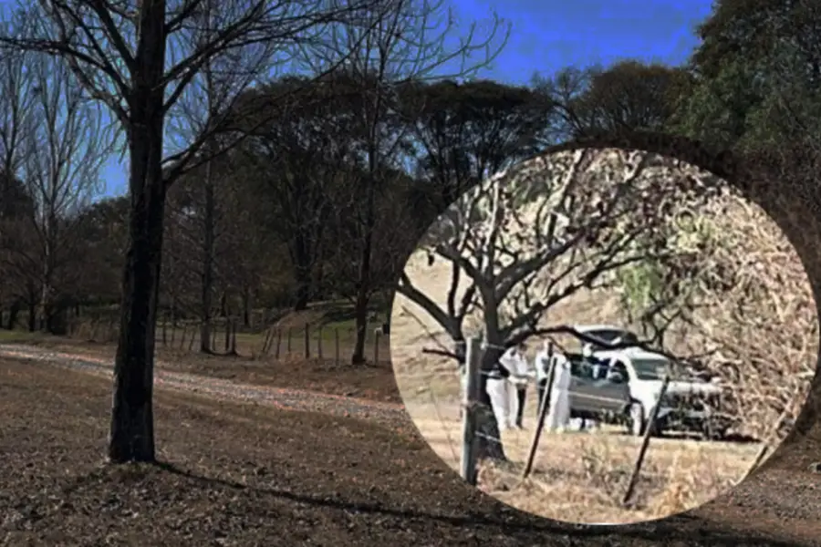 “No quiero volver sola”: chats revelan el miedo de la víctima antes de ser asesinada en el country