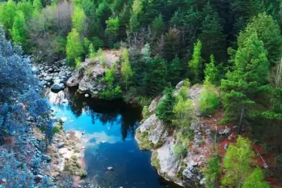 Parecen los Alpes pero es en Argentina: el encantador pueblo rural escondido entre ríos y coníferas