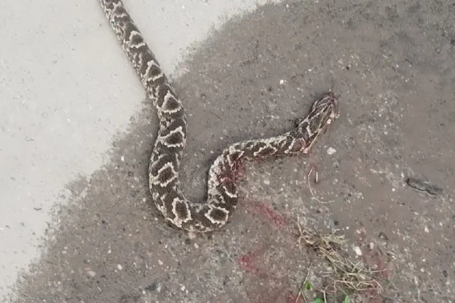 ALARMA. En la zona funcionan jardines de infantes, una escuela primaria y una secundaria.