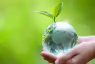 Día de la Tierra: ¿por qué se celebra el 22 de abril y cuál es su impacto global?