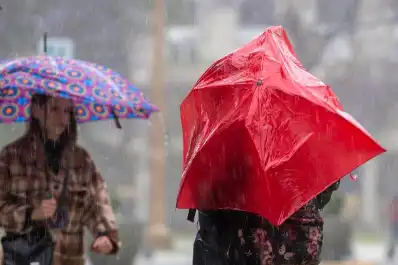 Alerta amarilla: se esperan vientos de hasta 110 km/h, lluvias intensas y nevadas en cuatro provincias