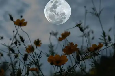 A una Luna de Flores le seguirá una Luna Azul: los inusuales fenómenos astronómicos de mayo
