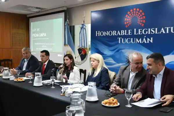 Ficha Limpia: la condena en primera o en segunda instancia es el nudo a resolver