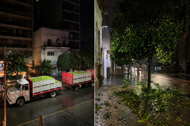 Denuncian una “cosecha salvaje” de naranjas en el centro y alertan por los daños al arbolado urbano