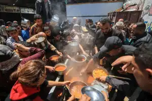 La pesadilla de las plagas en los campos de desplazados en Gaza