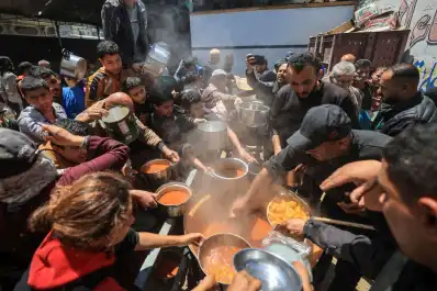 La pesadilla de las plagas en los campos de desplazados en Gaza