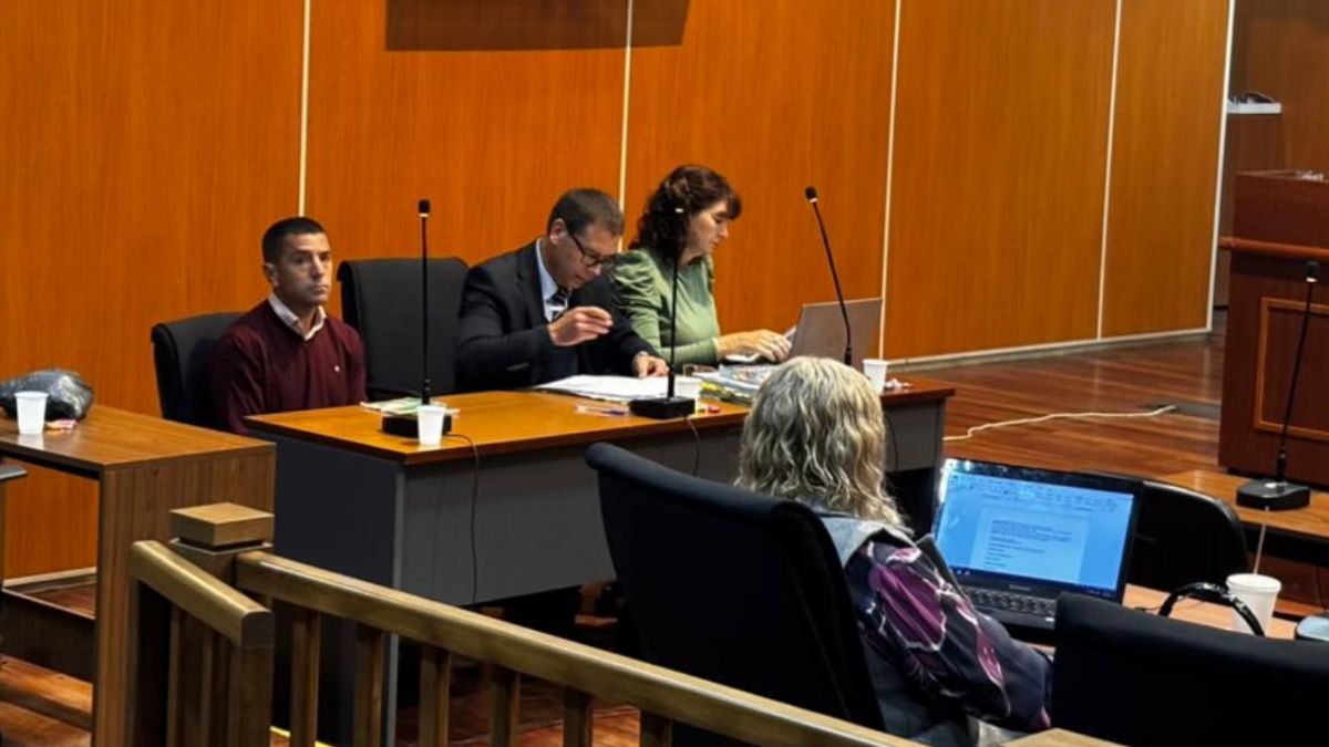 Crimen en el country: la defensa insiste con la emoción violenta para evitar la perpetua