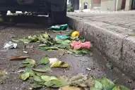 La recolección de naranjas que sorprendió a los tucumanos: quejas de vecinos y la defensa de la Municipalidad capitalina