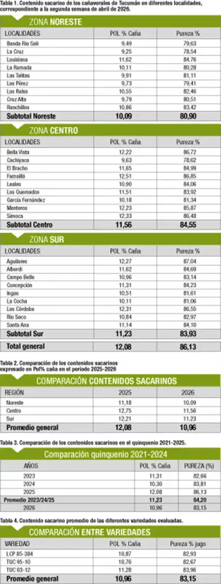 Cañaverales muestran un estado madurativo inferior al de 2025