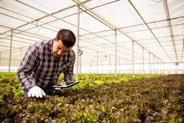 “Legado 2026”, para emprendimientos de impacto social
