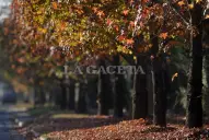 Cómo estará el tiempo en Tucumán este domingo