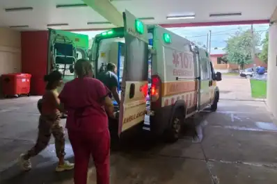 Brutal ataque en Misiones: siete perros mordieron a un niño dentro de su casa y está grave