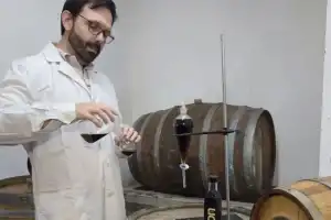 La Estación Experimental propone elaborar un ron de alta calidad en Tucumán