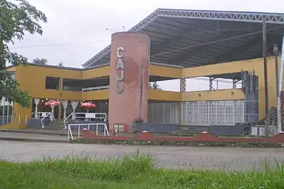 Denuncian que un simpatizante exhibió un arma de fuego durante un partido de basquet formativo