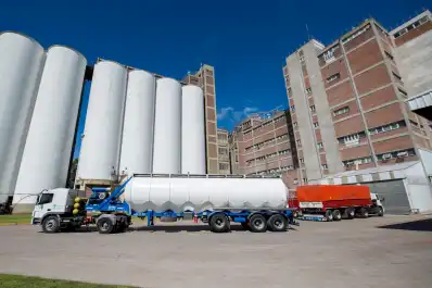 La molienda de girasol de marzo 2026 marcó el récord de los últimos 17 años, según Agricultura